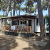 Casa mobile con veranda in legno sotto i pini.