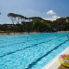 Piscina all'aperto con alberi sullo sfondo.