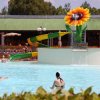Piscina con scivoli colorati e decorazione gigante a forma di girasole.