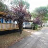 Vialetto asfaltato tra case mobili in legno con alberi attorno.