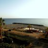 Spiaggia con palme e ombrelloni vicino alla strada, vista sull'oceano.