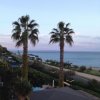 Due palme si stagliano contro il cielo azzurro, con vista su una costa e il mare.