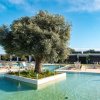 Grande albero al centro di una piscina moderna.