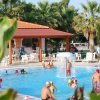 Piscina con spruzzi d'acqua e persone che nuotano, circondata da palme.