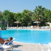 Piscina con lettini, ombrelloni e palme.