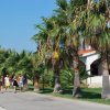 Persone che camminano vicino a palme e segnali stradali.