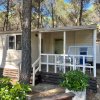 vacanze Camping Village Riva Dei Greci vacanze Basilicata