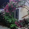 Archi bianchi con piante fiorite di notte.