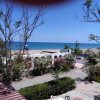 Vista su giardino e mare con cielo blu.